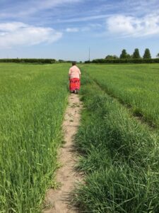 Woman walking in field