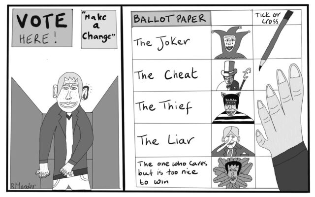 Meader's view cartoon: ballot paper