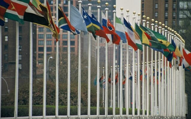 UN member flags
