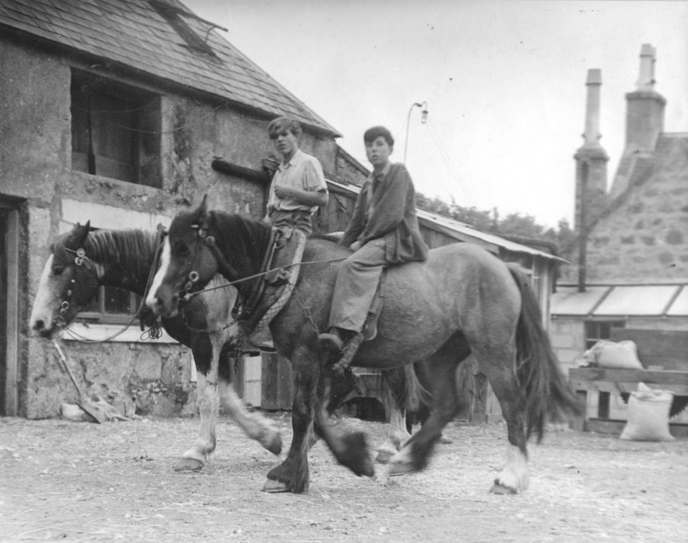 Two boys on horseback at Camphill