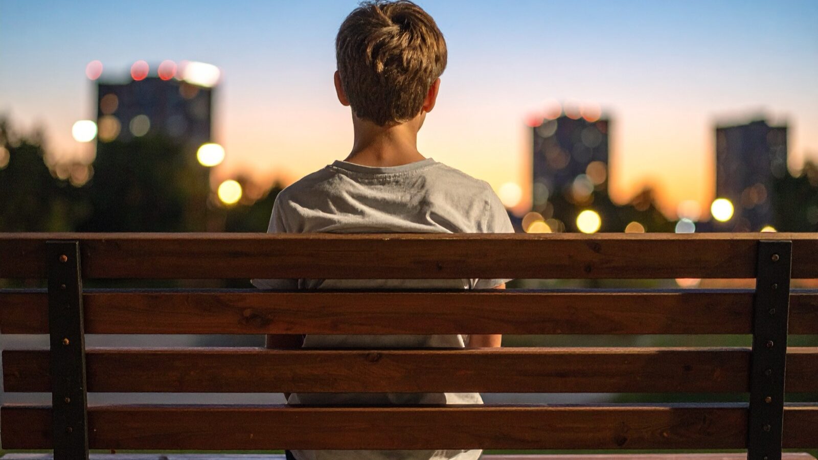 Teenage boy on park bench in evening with fireflies